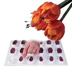 Ständer zum Trocknen von Tulpenblättern