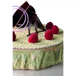 Bande d'écorce d'arbre pour le bord du gâteau
