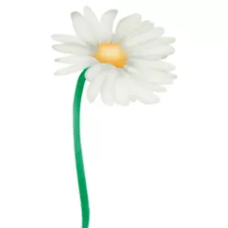 Airbrush stencil daisies