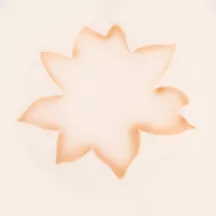 Airbrush stencil lotus blossom