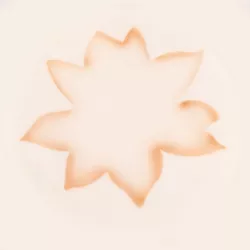 Airbrush stencil lotus blossom