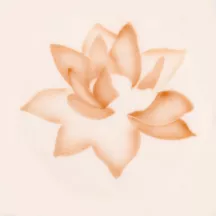 Airbrush stencil lotus blossom