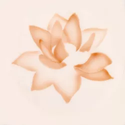 Airbrush stencil lotus blossom