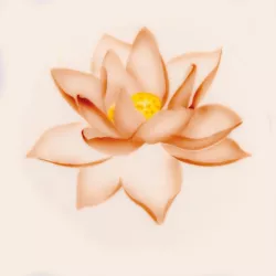Airbrush stencil lotus blossom