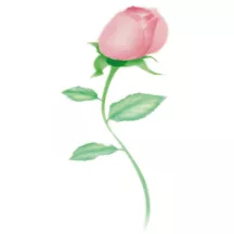 Airbrush stencil rosebud