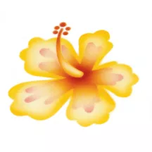 Airbrush stencil hibiscus flower