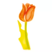 Airbrush-Stencil Tulpe