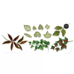 Leaf cutter set, 40 pieces