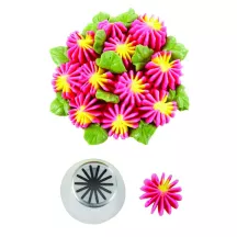 Bocchetta stella-fiore, grande