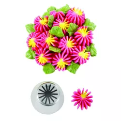 Bocchetta stella-fiore, grande