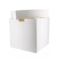 Cake box 20 x 20 x 20 cm
