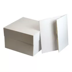 1 Cake Box 25 x 25 x 15 cm