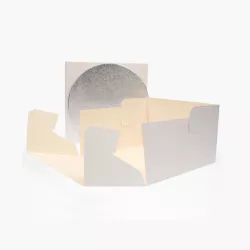 Tortenplatte & Box - Schachteln Grösse: 25 x 25 x 15 cm