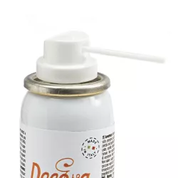 Food Refrigerant Spray