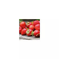 Flavouring Strawberry - 120g