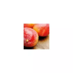 Gusto mango