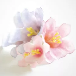 Cookie Cutters "Petunia"