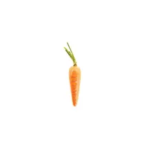 Silicone mold "Carota 20"