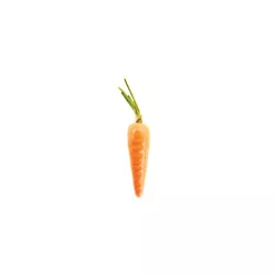 Stampo in silicone "Carota 20