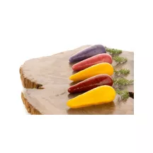 Moule en silicone "Carota 20"