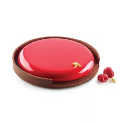Perforated tart rings + silicone mold