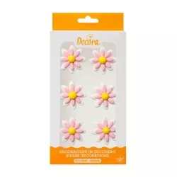 6 margherite bianche e rosa
