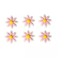 6 margherite bianche e rosa
