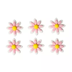 6 Weisse und rosa Zuckermargeriten