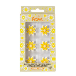 White and yellow sugar daisies