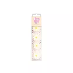 12 Sugar daisy flowers