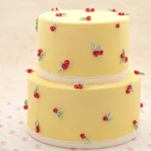 Torten-Dummy rund Ø 20 cm, 20 cm hoch | Cakelicious