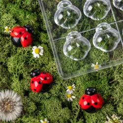 Stampo per praline Coccinella per 18 praline