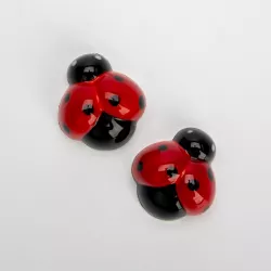 Stampo per praline Coccinella per 18 praline