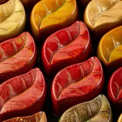 Stampo per praline foglie 24 pezzi – Policarbonato, lucido