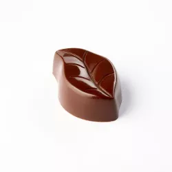 Stampo per praline foglie 24 pezzi – Policarbonato, lucido