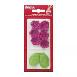 13 Sugar Fuchsia flowers and green leaves - 20g