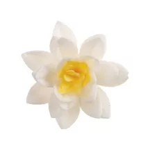 Fiori di carta commestibile bianchi, Ø 7 cm