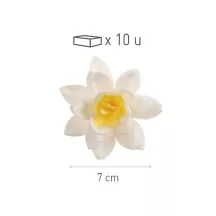 Blüten weiss aus Esspapier, Ø 7 cm