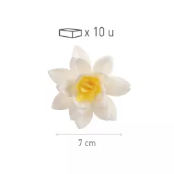 Fiori di carta commestibile bianchi, Ø 7 cm
