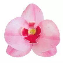 Pink edible paper orchids