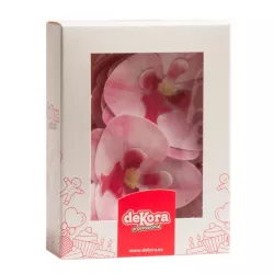 Orchidee di carta commestibili rosa