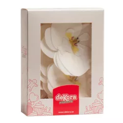 Orchidee di carta commestibile bianca
