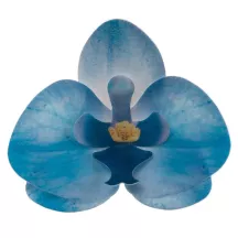 Orchideen aus Esspapier Hellblau