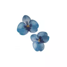 Orchidées en azyme en divers coloris