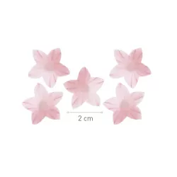 400 gigli di carta commestibile - rosa