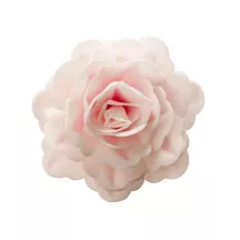 Giant wafer rose