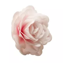 Giant wafer rose