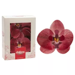 Orchidee bordeaux in carta commestibile
