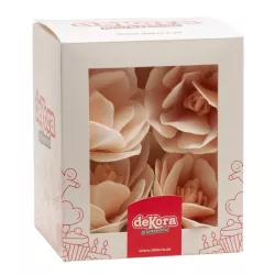 Weisse Magnolie in Oblate