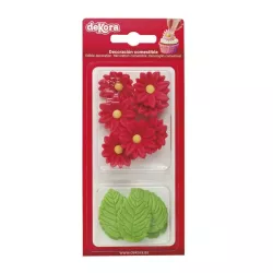 20 g di zucchero 7 fiori rossi e 5 foglie verdi